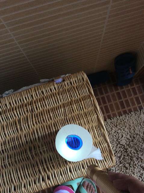  寶媽買(mǎi)了紫光手電，衣服上好多熒光劑，看的心慌害怕